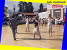 Ballo tradizionale dei Ceretti